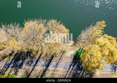 Herbstliche Bäume mit hellem Laub, die entlang des Fußweges am Seeufer im Park wachsen. Luftaufnahme von oben. Stockfoto