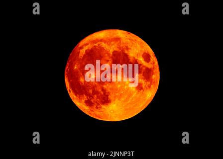 Vollmond, ein Sturgeon-Mond und Supermond (Super Moon), glühend tiefrot und orange direkt über dem Horizont am 11.. August 2022 aus Großbritannien mit schwarzem Himmel. Stockfoto