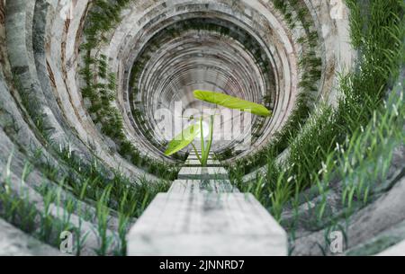 Kleine Pflanze und Gras im Zemen-Tunnel, 3D Abbildung Stockfoto