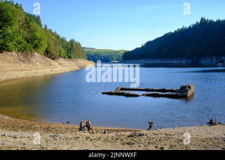 Llandovery, Großbritannien. 12. August 2022. Llandovery, Großbritannien, Freitag, 12.. August 2022 - Ein Bauernhaus aus dem 19. Jahrhundert namens „Fannog“, das mit dem Bau des Llyn Brianne Reservoirs überflutet wurde, wurde enthüllt, nachdem der Wasserstand aufgrund der aktuellen Hitzewelle gesunken war. Quelle: Mark Lewis/Alamy Live News Stockfoto