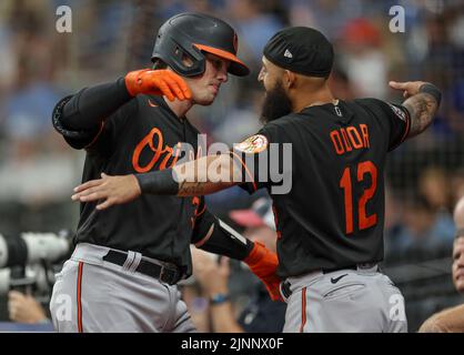 St. Petersburg, Florida. USA; Baltimore Orioles der zweite Baseman Rougned Odor (12) gratuliert dem Baltimore Orioles Catcher Adley Rutschman (35) nach seinem Hom Stockfoto