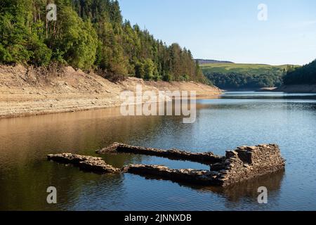 Llandovery, Großbritannien. 12. August 2022. Llandovery, Großbritannien, Freitag, 12.. August 2022 - Ein Bauernhaus aus dem 19. Jahrhundert namens „Fannog“, das mit dem Bau des Llyn Brianne Reservoirs überflutet wurde, wurde enthüllt, nachdem der Wasserstand aufgrund der aktuellen Hitzewelle gesunken war. Quelle: Mark Lewis/Alamy Live News Stockfoto