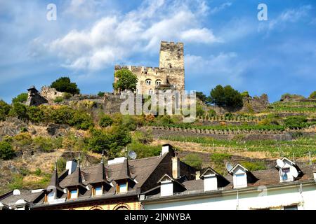 Festung Gutenfels (deutsch: Burg Gutenfels) in einer Sommerlandschaft 110 m über der Stadt Kaub in Rheinland-Pfalz, Deutschland Stockfoto
