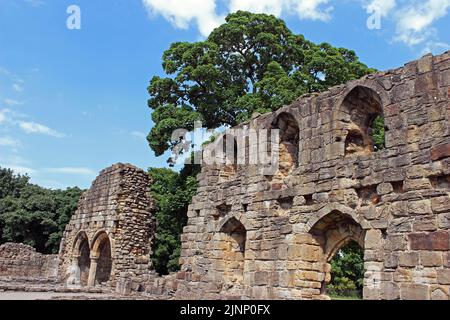 Ruinen der Abtei von Basingwerk in der Nähe von Holywell, Wales Stockfoto