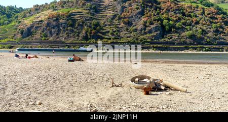 Frachtschiff auf dem Rhein bei Niedrigwasser in der Nähe der Loreley Stockfoto