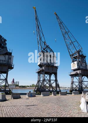 Antwerpen, Belgien, 17. April 2022, die größte Museumssammlung von Hafenkranen der Welt an den Kais der Schelde in Antwerpen Stockfoto