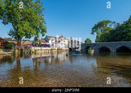 Fordingbridge, Hampshire, Großbritannien, 13.. August 2022, Wetter: Blauer Himmel und Sonnenschein am Morgen bei Dürre erschüttert England. Während der Hitzewelle strömeten Besucher zum Flussufer, wo der niedrige Wasserstand im Hampshire Avon mehr Bereiche des Flusses zugänglich gemacht hat. Paul Biggins/Alamy Live News Stockfoto