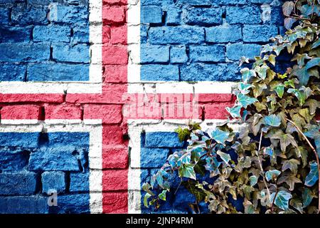 Island Grunge-Flagge auf Ziegelmauer mit Efeu-Pflanze, Land Symbol Konzept Stockfoto