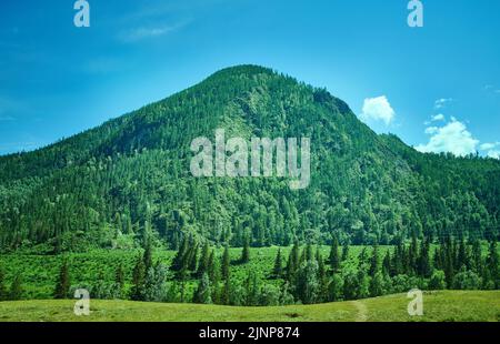 Berg Altai. Chuisky Katyn Tal Stockfoto