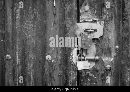 Monochrome Abbildung von zwei Vorhängeschlössern auf dem Metall-Gateway im Außenbereich. Für ausgesperrte, Daten- und E-Mail-Sicherheit, Denial-of-Service, Covid-Sperre, Sperrfunktion, Zugriff Stockfoto
