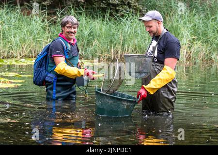 40+ Fischbestand In Einem Teich Rätsel, Für die frage