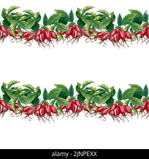 Aquarell-Nahtloses Muster mit Zweig aus Hunderose, hiprose, roten Beeren und grünen Blättern. Hagebuttenrose, seeunes Muster auf weißem Hintergrund. Stockfoto