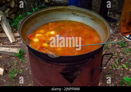 Shurpa- oder Shorpa-Suppe. Leckere hausgemachte Speisen. Traditionelle asiatische, usbekische, nahöstliche Suppe mit Rindfleisch oder Lamm und Gemüse Stockfoto