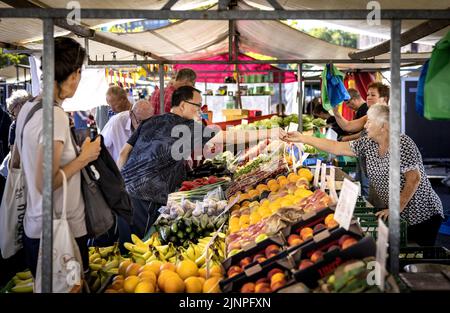 Rotterdam, Niederlande. 13. August 2022. 2022-08-13 09:57:11 ROTTERDAM - die Menschen machen ihre Einkäufe auf dem Markt auf dem Afrikaanderplein. Einkaufen ist in einem Jahr um 12 Prozent teurer geworden. Insbesondere Nudeln, Brot und Sonnenblumenöl stiegen stark an. ANP RAMON VAN FLYMEN netherlands Out - belgium Out Credit: ANP/Alamy Live News Stockfoto