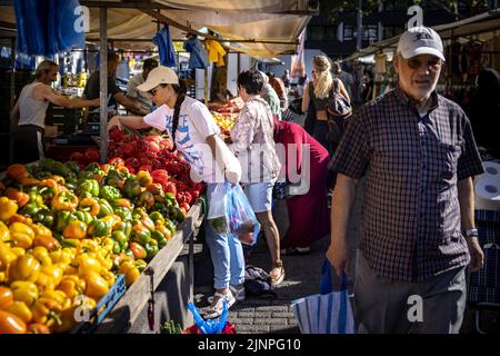 Rotterdam, Niederlande. 13. August 2022. 2022-08-13 10:12:02 ROTTERDAM - die Menschen machen ihre Einkäufe auf dem Markt auf dem Afrikaanderplein. Einkaufen ist in einem Jahr um 12 Prozent teurer geworden. Insbesondere Nudeln, Brot und Sonnenblumenöl stiegen stark an. ANP RAMON VAN FLYMEN netherlands Out - belgium Out Credit: ANP/Alamy Live News Stockfoto