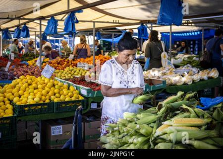 Rotterdam, Niederlande. 13. August 2022. 2022-08-13 10:08:30 ROTTERDAM - die Menschen machen ihre Einkäufe auf dem Markt auf dem Afrikaanderplein. Einkaufen ist in einem Jahr um 12 Prozent teurer geworden. Insbesondere Nudeln, Brot und Sonnenblumenöl stiegen stark an. ANP RAMON VAN FLYMEN netherlands Out - belgium Out Credit: ANP/Alamy Live News Stockfoto