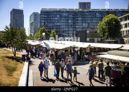 Rotterdam, Niederlande. 13. August 2022. 2022-08-13 11:52:53 ROTTERDAM - Leute tun ihr Einkaufen auf dem Markt auf der Binnenrotte. Einkaufen ist in einem Jahr um 12 Prozent teurer geworden. Insbesondere Nudeln, Brot und Sonnenblumenöl stiegen stark an. ANP RAMON VAN FLYMEN netherlands Out - belgium Out Credit: ANP/Alamy Live News Stockfoto