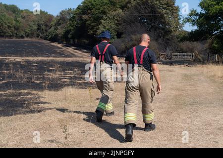 Hedgerley, Buckinghamshire, Großbritannien. 13.. August 2022. Feuerwehrleute des Feuerwehr- und Rettungsdienstes Buckinghamshire waren heute wieder dabei, schwelende Hotspots am Schauplatz eines riesigen Feldfeuers in Hedgerley, Buckinghamshire, zu löschen. Gestern wurden bei einem schweren Brand, der sich auf den Damm von M40 ausbreitete, etwa 25 Hektar Ackerland zerstört. Als der Rauch über die M40 driftete, wurden zwei Spuren der M40 in Richtung Norden zwischen Junction 1A (Kreuzung M25) und Junction 2 (Beaconsfield) geschlossen. Quelle: Maureen McLean/Alamy Live News Stockfoto