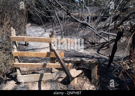 Hedgerley, Buckinghamshire, Großbritannien. 13.. August 2022. Feuerwehrleute des Feuerwehr- und Rettungsdienstes Buckinghamshire waren heute wieder dabei, schwelende Hotspots am Schauplatz eines riesigen Feldfeuers in Hedgerley, Buckinghamshire, zu löschen. Gestern wurden bei einem schweren Brand, der sich auf den Damm von M40 ausbreitete, etwa 25 Hektar Ackerland zerstört. Als der Rauch über die M40 driftete, wurden zwei Spuren der M40 in Richtung Norden zwischen Junction 1A (Kreuzung M25) und Junction 2 (Beaconsfield) geschlossen. Quelle: Maureen McLean/Alamy Live News Stockfoto