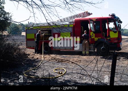 Hedgerley, Buckinghamshire, Großbritannien. 13.. August 2022. Feuerwehrleute des Feuerwehr- und Rettungsdienstes Buckinghamshire waren heute wieder dabei, schwelende Hotspots am Schauplatz eines riesigen Feldfeuers in Hedgerley, Buckinghamshire, zu löschen. Gestern wurden bei einem schweren Brand, der sich auf den Damm von M40 ausbreitete, etwa 25 Hektar Ackerland zerstört. Als der Rauch über die M40 driftete, wurden zwei Spuren der M40 in Richtung Norden zwischen Junction 1A (Kreuzung M25) und Junction 2 (Beaconsfield) geschlossen. Quelle: Maureen McLean/Alamy Live News Stockfoto