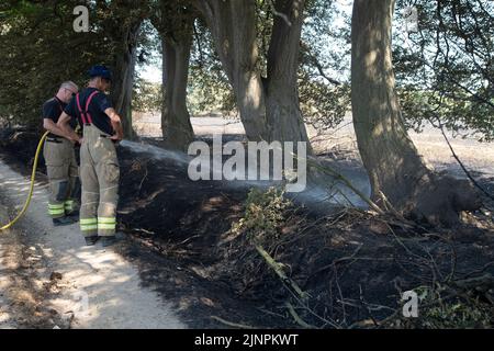 Hedgerley, Buckinghamshire, Großbritannien. 13.. August 2022. Feuerwehrleute des Feuerwehr- und Rettungsdienstes Buckinghamshire waren heute wieder dabei, schwelende Hotspots am Schauplatz eines riesigen Feldfeuers in Hedgerley, Buckinghamshire, zu löschen. Gestern wurden bei einem schweren Brand, der sich auf den Damm von M40 ausbreitete, etwa 25 Hektar Ackerland zerstört. Als der Rauch über die M40 driftete, wurden zwei Spuren der M40 in Richtung Norden zwischen Junction 1A (Kreuzung M25) und Junction 2 (Beaconsfield) geschlossen. Quelle: Maureen McLean/Alamy Live News Stockfoto