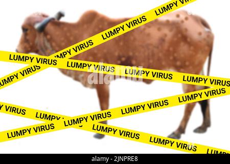 Klumpige Virus gelbe Straftat-Spotlinie auf verschwommenem Pockenvirus im menschlichen Körper. Stockfoto