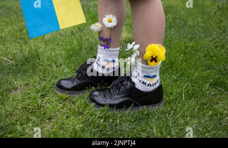 Füße des Jungen - Patriot in schwarzen Lackleder Schuhe und Socken mit Aufschrift Ich liebe Ukraine, ukrainische Flagge. Blumen ragen aus Socken. Zeichnung att Stockfoto