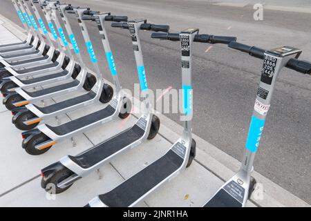 Seattle - 07. August 2022; Row of Bird Elektroroller stehen aufrecht auf einer Straße Stockfoto