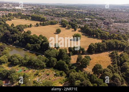 Trockenes Gras in Eastville Park, Bristol. Das Met Office hat für Teile von England und Wales vier Tage von Donnerstag bis Sonntag eine gelbe Warnung vor extremer Hitze ausgegeben. Bilddatum: Samstag, 13. August 2022. Stockfoto