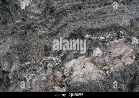 Nahaufnahme eines grauen Lavagesteins, der in dekorativen Landschaftsgestaltungen verwendet wird, ein abrasives und persönliches Körperpflegemittel. Stockfoto
