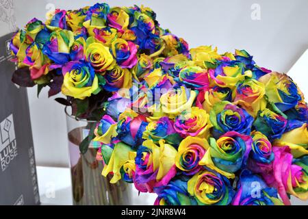 Regenbogen-Rosen Stockfoto