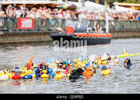 Hannover, Deutschland. 13. August 2022. Mehrere unterschiedlich geformte 'Big Ducks' schwimmen beim Charity-Entenrennen auf der Rennstrecke am Nordufer des Maschsee. Das Entenrennen 11. auf dem Maschsee wird vom NKR (NKR) organisiert und findet am vorletzten Tag des Maschsee-Festivals statt. Kredit: Michael Matthey/dpa/Alamy Live Nachrichten Stockfoto