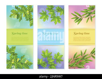 Helle bunte Frühling Kollektion von vertikalen Bannern mit Oliveneiche Und Ahornzweige bei Sonnenblendung Hintergrund flache Vektor-Illustration Stock Vektor