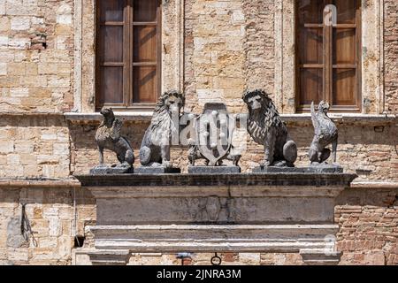 Detail aus dem Brunnen von Il Pozzo dei Grifi e dei Leoni auf der Piazza Grande< Montepulciano, Italien Stockfoto