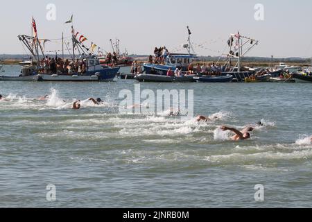 West Mersea, Großbritannien. 13. August 2022. Die West Mersea Regatta findet auf Mersea Island statt. Die Regatta wird seit 1838 fast ununterbrochen durchgeführt und wird von Freiwilligen organisiert. Das Schwimmrennen der Männer. Kredit: Eastern Views/Alamy Live Nachrichten Stockfoto