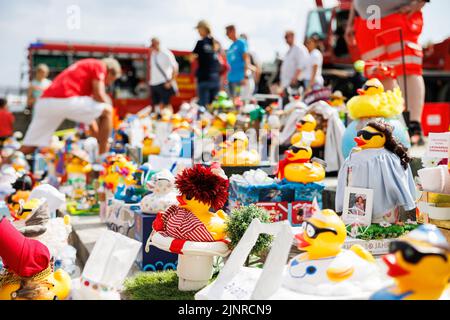 Hannover, Deutschland. 13. August 2022. Mehrere unterschiedlich geformte 'Big Ducks' stehen beim Charity-Entenrennen vor dem Start des Rennens am Nordufer des Maschsee. Das Entenrennen 11. auf dem Maschsee wird vom NKR (NKR) organisiert und findet am vorletzten Tag des Maschsee-Festivals statt. Kredit: Michael Matthey/dpa/Alamy Live Nachrichten Stockfoto