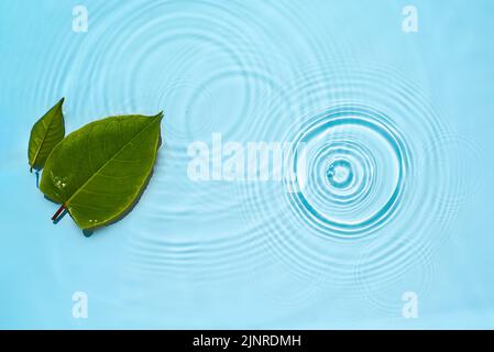 Abstrakter Wasserhintergrund mit runden Wellen und grünen Blättern Stockfoto