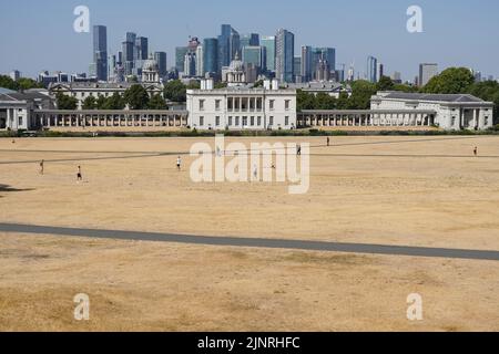 London, Großbritannien. 13. August 2022. UK Wetter: Ausgetrocktes Gras im Greenwich Park in London. Quelle: Marcin Rogozinski/Alamy Live News Stockfoto