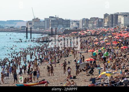 Brighton, Großbritannien. 13. August 2022. Tausende strömten diesen Samstag nach Brighton Beach und machten das Beste aus dem heißen Wetter. Ein See mit roten Schirmen (gesponsert von Walls Ice Cream) kann gesehen werden, die sich von Brighton bis Hove erstrecken Kredit: @Dmoonuk/Alamy Live News Stockfoto