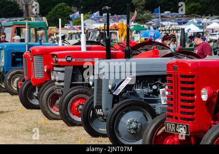 Linie von alten Traktoren a t a show Stockfoto