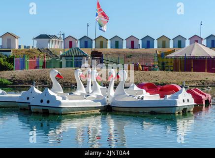 Schwan-Tretboote auf See mit Bootstouren Stockfoto