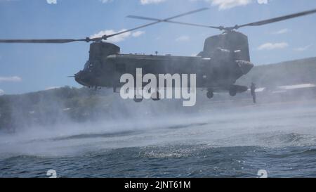 Soldaten DER US-Armee, die der 20. Special Forces Group, Alabama National Guard, zugewiesen wurden, springen während des Helocast-Trainings im Rahmen der Übung Northern Strike 22-2 in Camp Greyling, Michigan, 11. August 2022 aus CH-47 Chinook heraus. Northern Strike wurde entwickelt, um rund 7.400 Service-Mitglieder mit verschiedenen Schulungsformen herauszufordern, die die Interoperabilität zwischen mehreren Komponenten, multinationalen und agenturübergreifenden Partnern fördern. Stockfoto