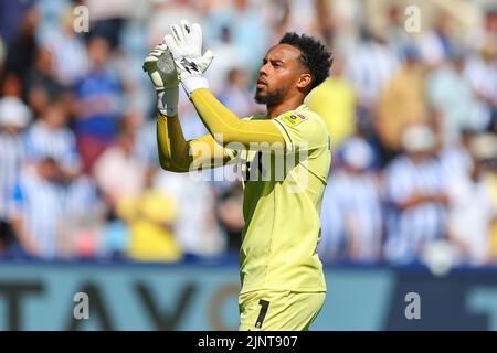 Jojo Wollacott #1 von Charlton Athletic applaudiert die Reisenden Fans vor dem Start Stockfoto