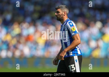 Sheffield, Großbritannien. 13. August 2022. Callum Pherson #13 von Sheffield Mittwoch während des Spiels in Sheffield, Großbritannien am 8/13/2022. (Foto von Gareth Evans/News Images/Sipa USA) Quelle: SIPA USA/Alamy Live News Stockfoto