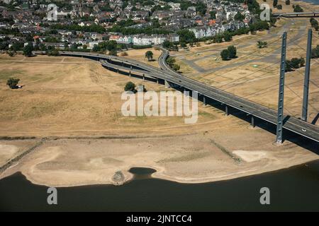 Düsseldorf, NRW, Deutschland, 13.. August 2022. Ungewöhnlich ist, dass ein Großteil der Rheinkniebrücke und ihrer Zufahrtsstraßen im Vorort Oberkassel derzeit auf trockenem, vertrockneten Land steht. Der Rhein, eine der verkehrsreichsten Binnenwasserstraßen der Welt, wurde stark von der anhaltenden Dürre und den daraus resultierenden niedrigen Wasserständen beeinflusst, die durch eine längere Hitze von bis zu 40 Grad und sehr wenig Regen in den letzten Wochen verursacht wurden. Die Schifffahrtsstraße hat sich erheblich verengt und den Verkehr verlangsamt, die meisten Schiffe mussten auch ihr Frachtgewicht erheblich reduzieren, was zu Lieferproblemen und höheren Schifffahrtskosten führte Stockfoto