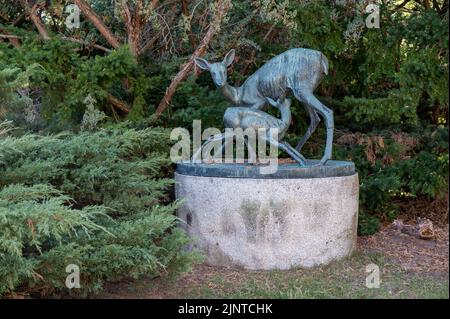 Öffentliche Kunst in Norrkoping - Rehwild mit Rehkitz eine Bronze von Arvid Knöppel aus dem Jahr 1962 in Skarphagen. Stockfoto