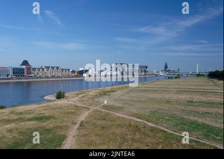 Köln, 10. August 2022: rheinpanorama vom stapelhaeuser über den kranhaeuser zum kölner Dom während der Dürreperiode in su Stockfoto