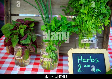 Anordnung und Präsentation von Kräutern auf einem Bio-Bauernmarkt in Penticon, British Columbia, Kanada. Stockfoto