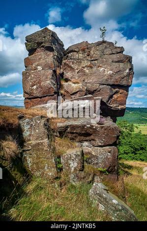 Große Säule aus Grundsteinfelsen, die im Dobb Edge Quarry in der Nähe von Baslow und Chatsworth House, Derbyshire, unbequert wurde. Stockfoto