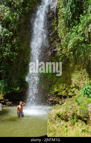 Junge Männer entspannen sich am Toraille Wasserfall St. Lucia. St. Lucia Dschungel Wasserfall und Männer schwimmen. Toraille Falls Sain Lucia Stockfoto